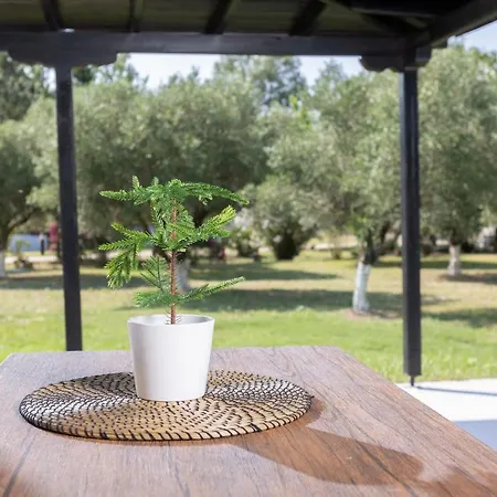 Casa Alelia Lagonisi